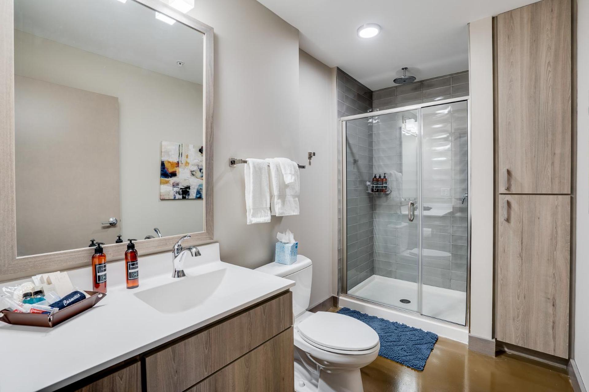 Aparthotel Sable 207 - One Bedroom Minneapolis